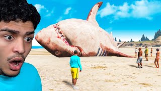 O MEGALODON NO GTA 5 [upl. by Ahsinotna]