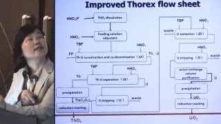 Li Qingnuan  Thorium Molten Salt Reactor TMSR Fuel ProcessingReprocessing  ThEC12 [upl. by Pippy]