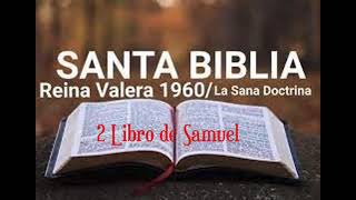 Biblia Hablada Reina Valera 1960 2 libro de Samuel [upl. by Nihsfa]