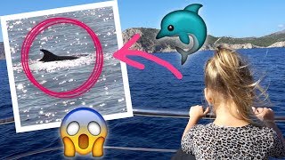 Hat sich das wirklich gelohnt  DELFINTOUR 🐬💦 [upl. by Tamah]