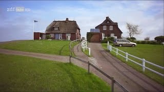 Doku Hallig Hooge  Die Nummer eins im Wattenmeer HD [upl. by Eira]