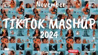 Tiktok Mashup November 💙2024💙 Not Clean [upl. by Adey]