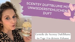 Duftblume 🌸  Raumduft  Scentsy Beraterin Deutsch [upl. by Rebmit]