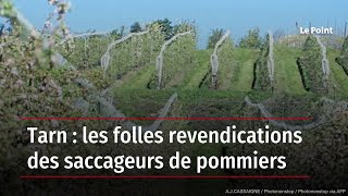 Tarn  les folles revendications des saccageurs de pommiers [upl. by The]