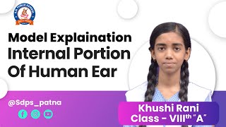 Exploring the Internal Structure of the Ear  Anatomy of the Human Ear  SdpsPatna [upl. by Nola]