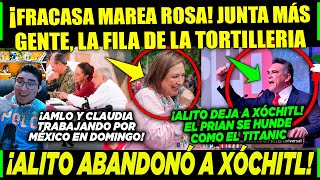 DOMINGAZO MAREA ROSA FRACASA XÓCHITL VALIÓ CHETOS ¡ALITO NO FUE POR ESTO [upl. by Atteroc318]