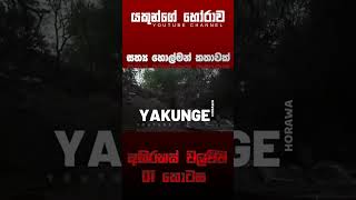 අභිරහස් වලව්ව 01 කොටස  sinhala holman katha horrorstories viral foryou ghost storytime [upl. by Auohc]