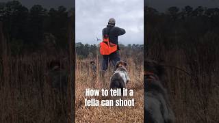 Wirehaired pointing griffon Olive and German Wirehaired Pointer Hilda double team a quail in MS [upl. by Xanthus]