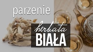 Biała Herbata jak poprawnie parzyć białą herbatę właściwości białej herbaty 22 Czajnikowypl [upl. by Cheke918]