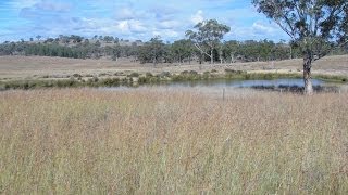 FOR SALE  quotDungorm Stationquot Gore Queensland Australia [upl. by Chaddy]