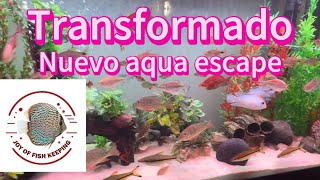 Nueva transformación del 90gal aqua escape [upl. by White]