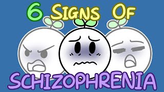 6 Signs Of Schizophrenia [upl. by Hapte]