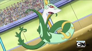 Pokemon Battle  Serperior vs Darmanitan [upl. by Ynnattirb]