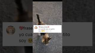 Las mejores frases Aesthetic de Tik Tok2024 [upl. by Nomsed798]