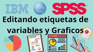 SPSS Etiquetas y Edición de Graficos [upl. by Joellen962]