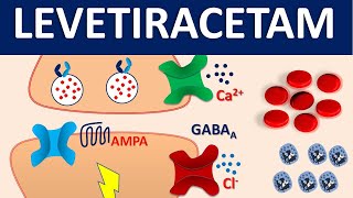 Levetiracetam Keppra  Mechanism side effects precautions and uses [upl. by Besnard27]