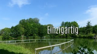 BDKJFerienwelt  Zeltlager Oberginsbach 2017  Meine große Leidenschaft [upl. by Feld]