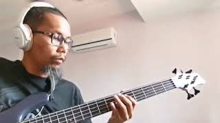 mellowship slinky in b major  Rhcp bass cover [upl. by Atinele]