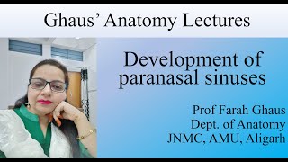 Development of paranasal sinuses [upl. by Atinnor]