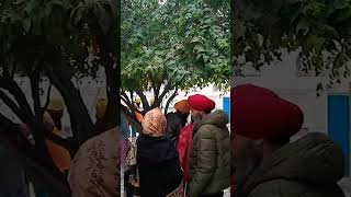 Gurudwara Gau Ghat patna shorts youtubeshorts viral reelsvideo reels patna gurugobindsinghji [upl. by Nosrac]