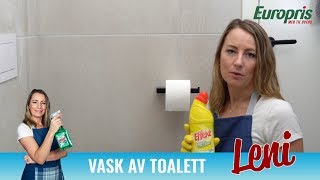 Rengjøring av toalett  Effekt WCrens og Effekt Baderomsspray [upl. by Raynell]