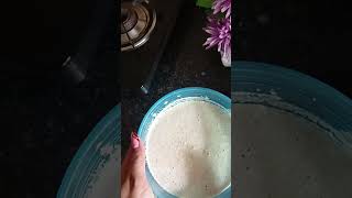 Fully veggie loded dosa 🤤shorts viral trending food gaurikitchenn [upl. by Sunderland]