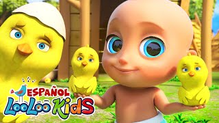 🐥 Los Pollitos Dicen Pío Pío  LooLooKidsEspanol 🎶  Canción Infantil Querida para Bebés y Niños [upl. by Crowe]