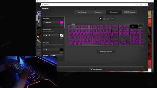 Apex Pro Keyboard how to setup your RGB lighting [upl. by Bendicty]