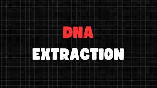 DNA EXTRACTION Biochemistry Lab [upl. by Yffat]