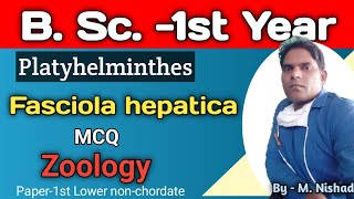 Fasciola hepatica Most Asked MCQLower nonchordateZoologyB Sc 1st Year [upl. by Yorle]