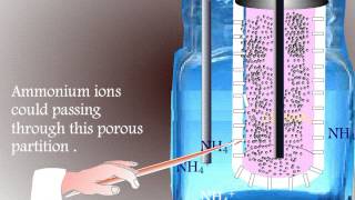 Reactions in a Leclanche Cell and Dry Cell or Battary [upl. by Abbey]