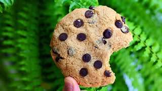 SHAMELESS EASY 1 Minute Microwave Chocolate Chip Cookie Recipe No eggsBest Chocolate chip cookies [upl. by Mozes29]