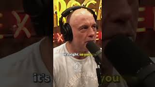 Andrew Huberman discusses dopamine adrenaline and noradrenaline andrewhuberman joerogan jre [upl. by Tomchay829]