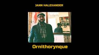 Jann Halexander – Ornithorynque album Ornithorynque 2024 [upl. by Otcefrep]