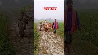 লাউলাউ লাউচাষ villagelife villagevlog rurallife shorts [upl. by Annerb92]