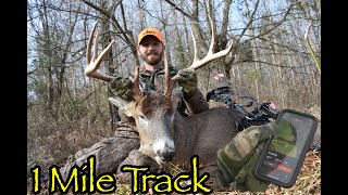 Indiana Buck takes arrow 1 Mile [upl. by Cirde864]