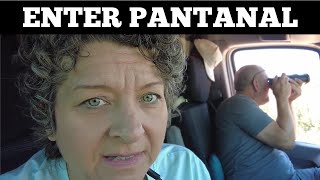 Our Most Intense Day in Van Life Travel  PANTANAL BRAZIL [upl. by Nottus]