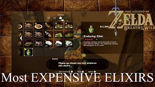 Zelda Breath Of The Wild Most EXPENSIVE Elixirs [upl. by Henning425]