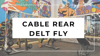 CABLE REAR DELT FLY [upl. by Ecinom833]