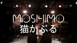 MOSHIMO「猫かぶる」MV（Full ver） [upl. by Ellenaj]