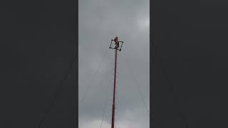 Voladores de Papantla en CDMX 05Septiembre2024 [upl. by Arratahs]