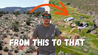 Regenerative Farm in the High Desert growing trees and cows [upl. by Retsae851]