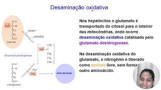 Catabolismo de Aminoácidos em Animais [upl. by Josiah65]