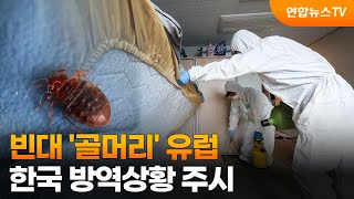 빈대 골머리 유럽…한국 방역상황 주시  연합뉴스TV YonhapnewsTV [upl. by Jozef]