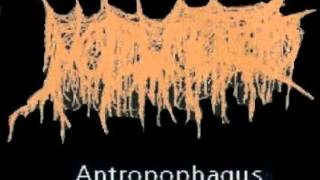 Mutilatorio  Antropophagus Full Album [upl. by Zola]