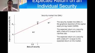 Introduction to the Capital Asset Pricing Model CAPM [upl. by Ailsun]