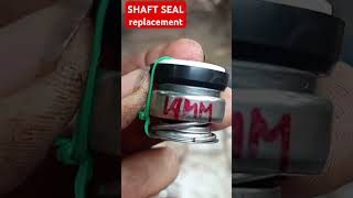 Water pump SHAFT SEAL replacement [upl. by Obe]