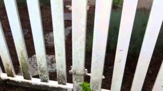 Part 1  How to wash a vinyl fence  Waterworksnwcom [upl. by Anirahs]