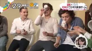 Louis and Harry being cute and silly boyfriends in Japan [upl. by Fidelas281]