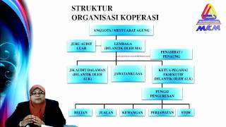 STRUKTUR ORGANISASI KOPERASI [upl. by Liagibba]